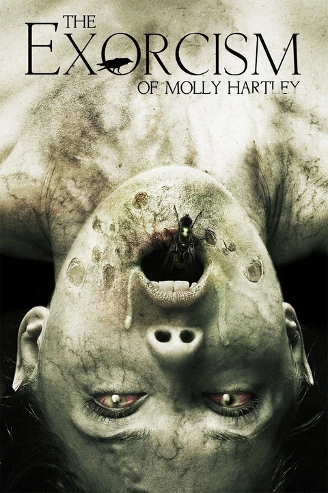 The Exorcism of Molly Hartley / Egzorcyzmy Molly Hartley 2015