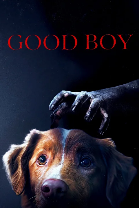 Good boy 2025